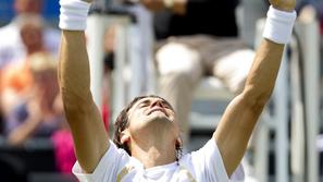david ferrer