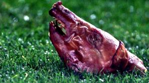 Figo Barcelona Real Madrid El Clasico