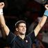 Ferrer Đoković Pariz masters ATP