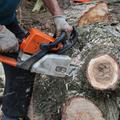 motorna žaga podiranje dreves