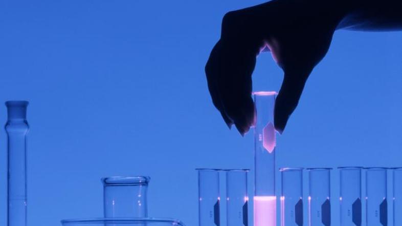 Prostor, kjer se rojeva novo življenje. Če bo Venterjev eksperiment potrjen, bo 