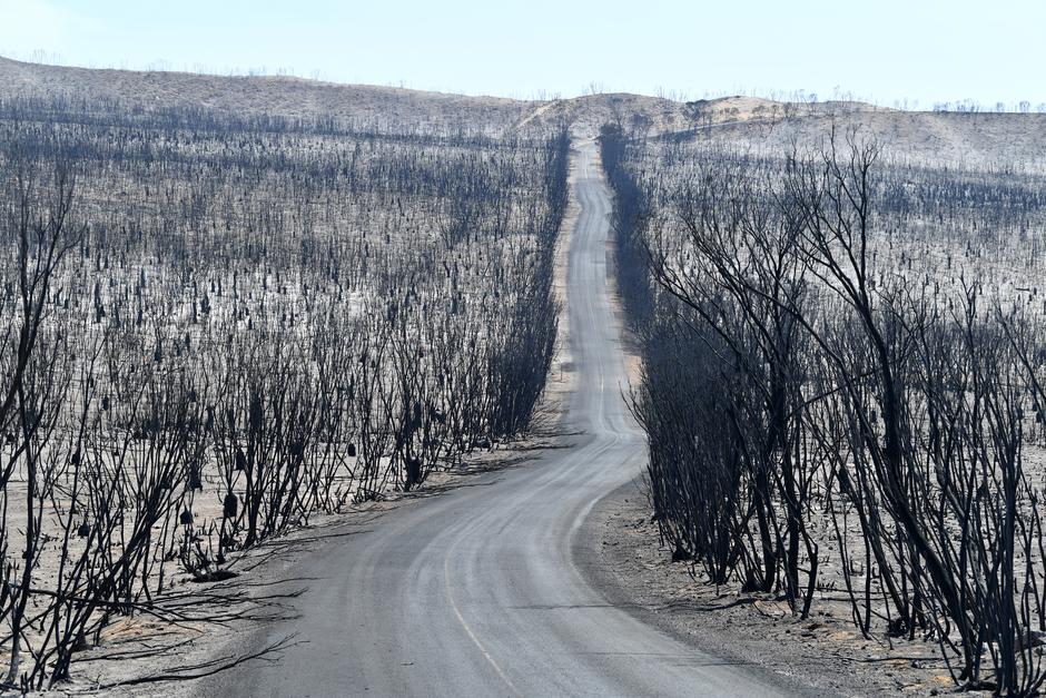 Avstralija požari | Avtor: Epa