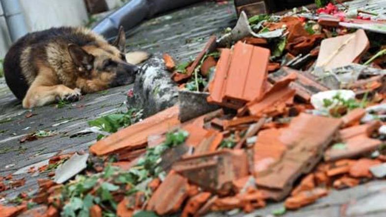 Zavarovalnice bodo morale spet razvezati mošnje. (Foto: Saša Despot)