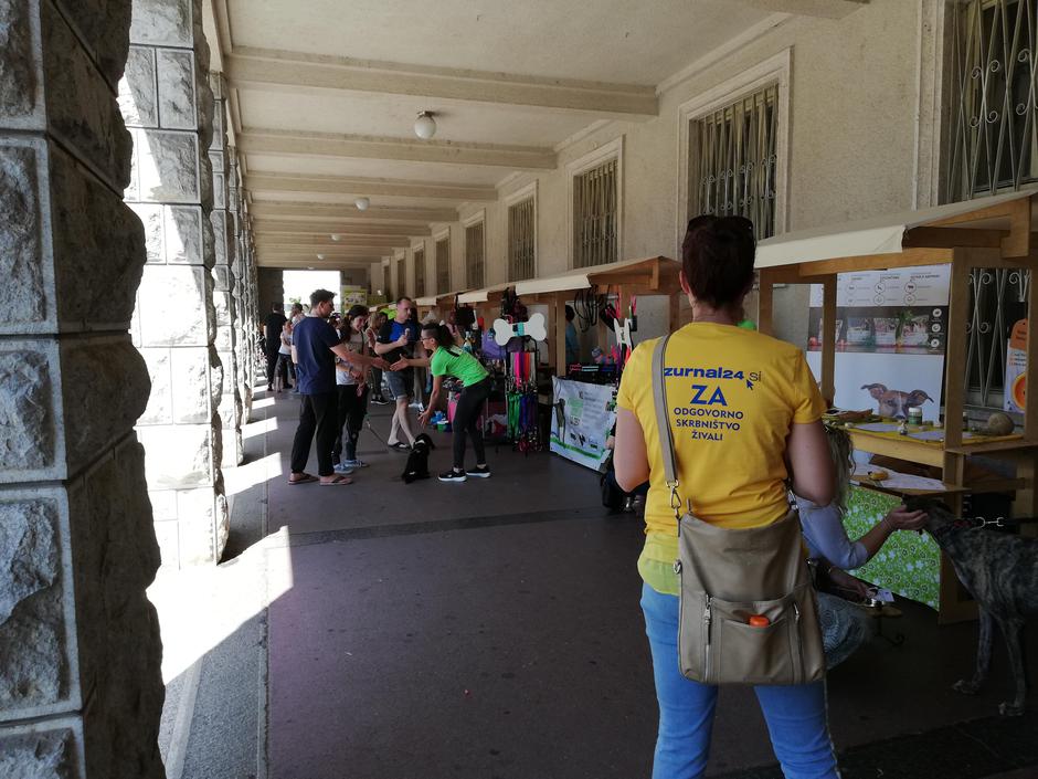 Festival za ljubitelje živali 2019 | Avtor: B. P.
