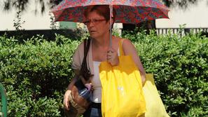 Hlajenje pod deznikom