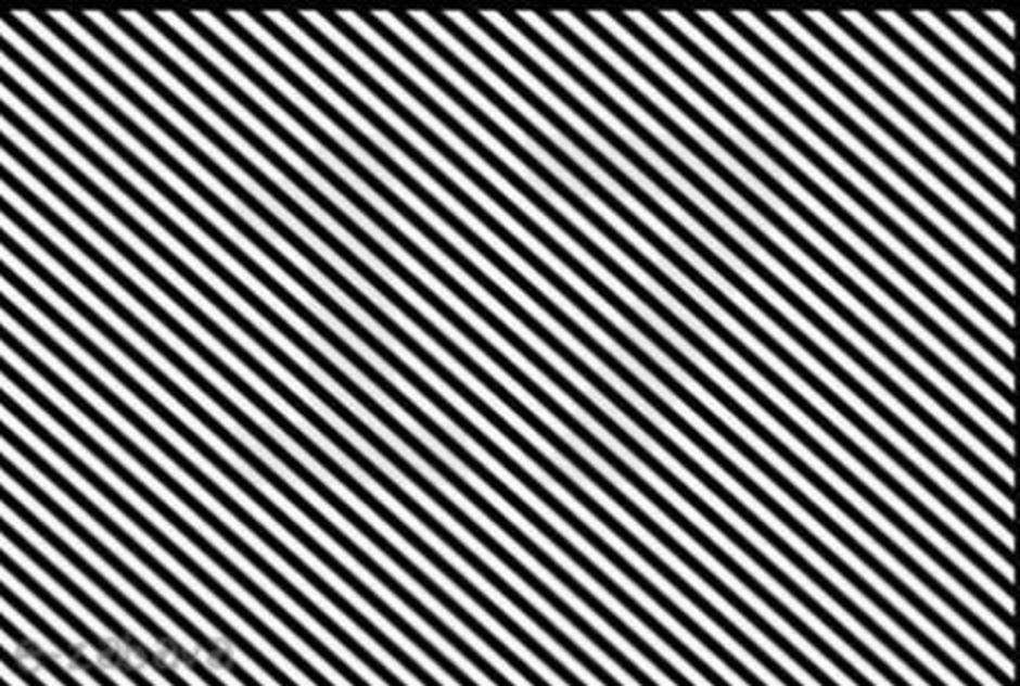 test inteligence, optična iluzija | Avtor: Facebook