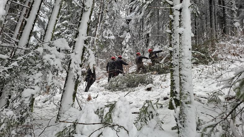 sneg elektro maribor električno omrežje