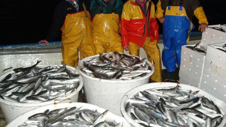 Ribiči so zadovoljni z ulovom.