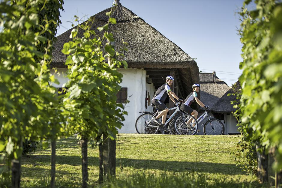 Terme 3000 | Avtor: Sava Hotels & Resorts