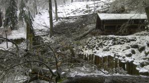 Zoo Ljubljana