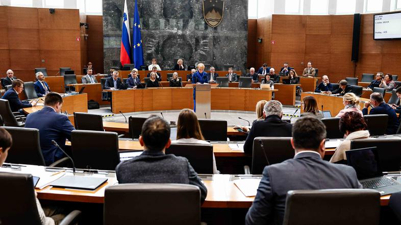 Državni zbor, poslanci