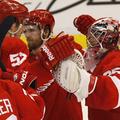 Detroit Red Wings : San Jose Sharks 3:1