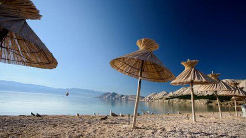 Mir in lepoto so odkrile tudi radožive zajčice.