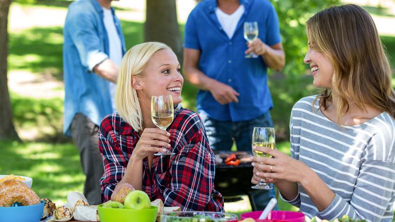 žar, piknik, prijatelji, vino