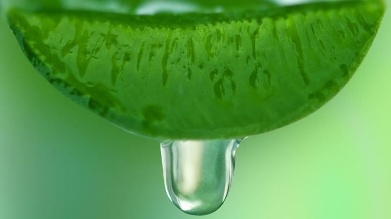 (Foto: Shutterstock)