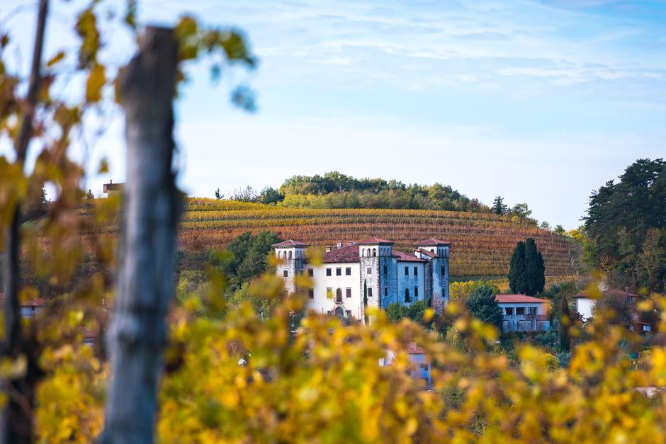 Goriška Brda | Avtor: TIC Brda