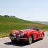 Mille Miglia 2011