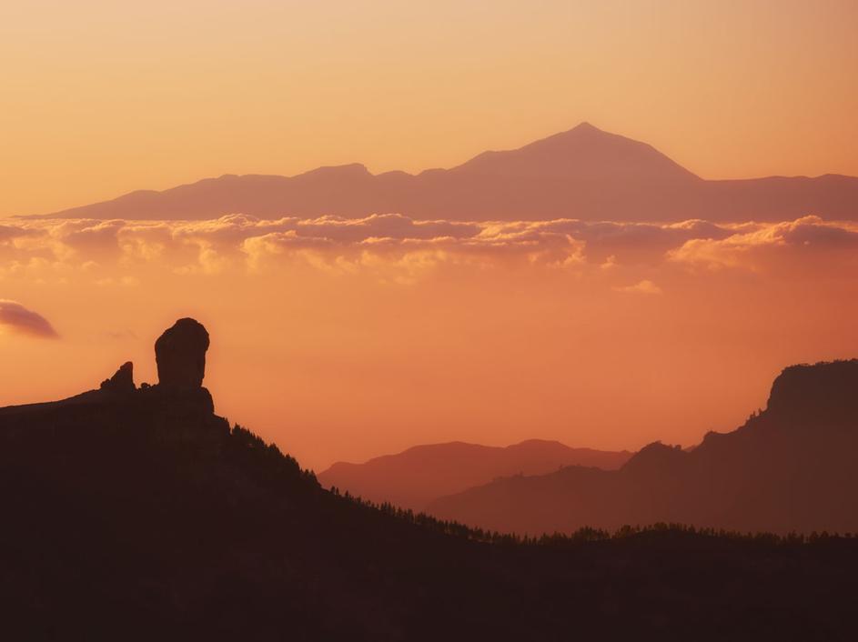 (Foto: Shutterstock)