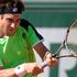 Robredo Ferrer OP Francije Roland Garros četrtfinale tenis