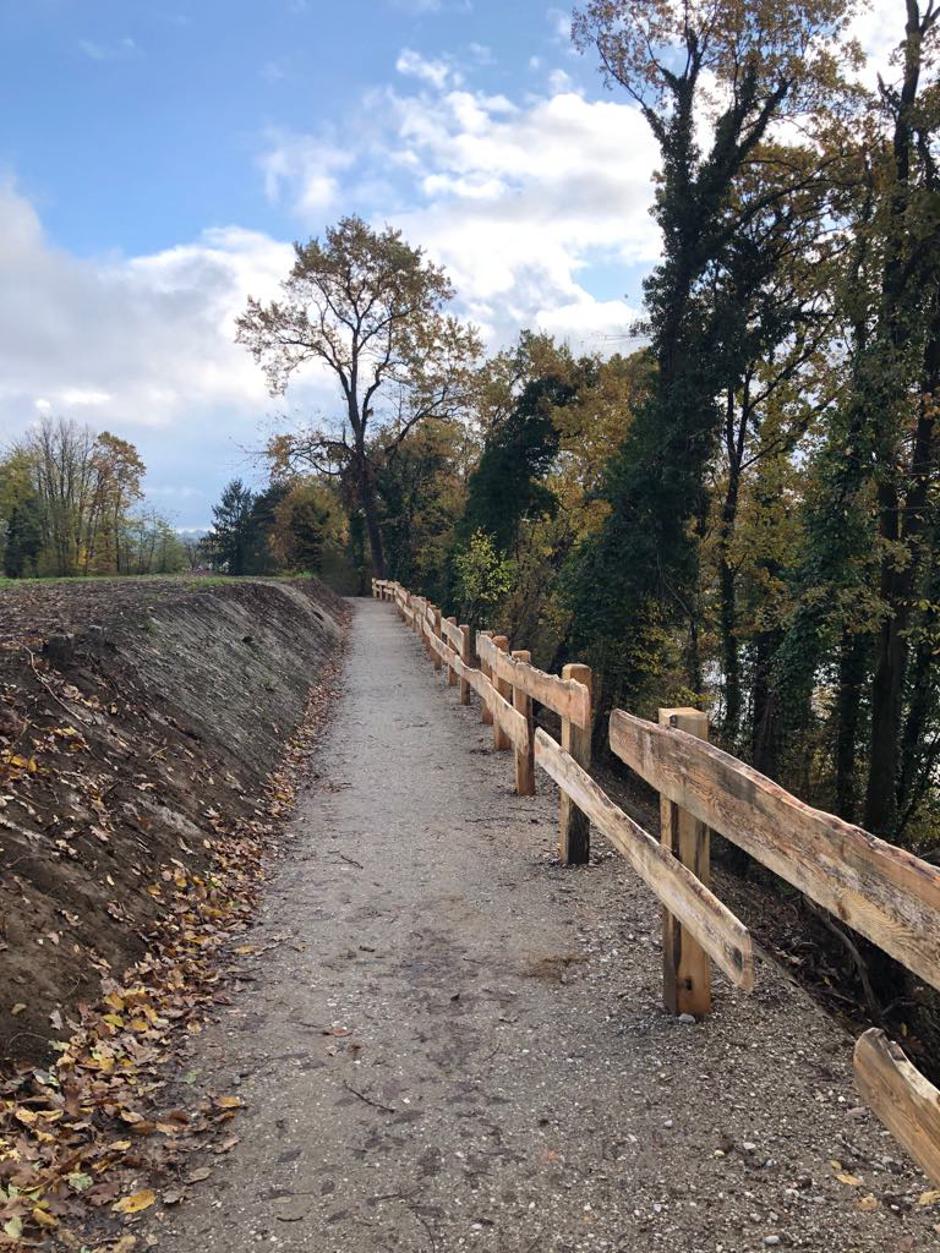 Pešpot ob Dravi | Avtor: Mestna občina Maribor