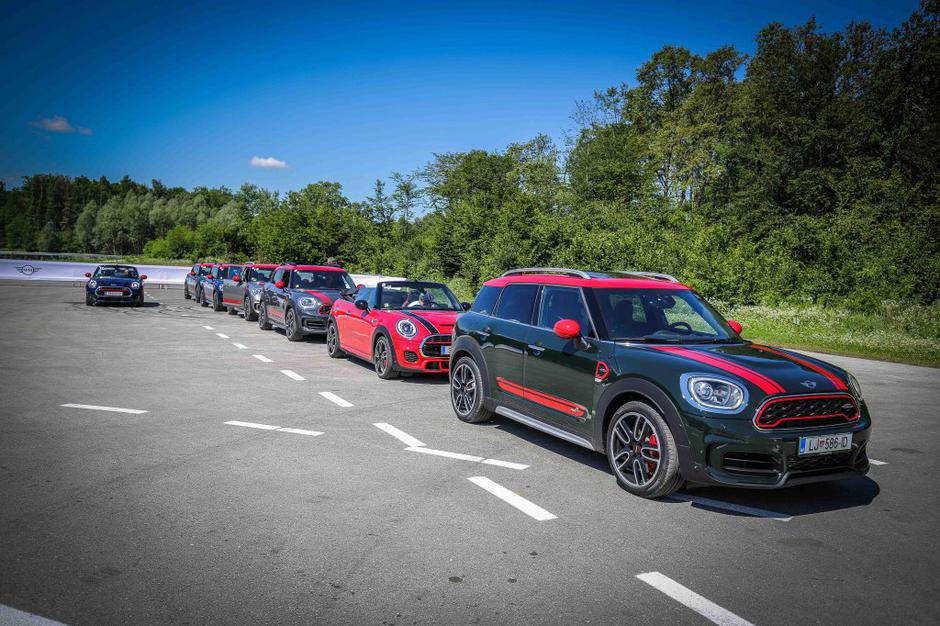 Mni | Avtor: Saša Despot