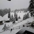 Pokljuka