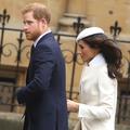 meghan markle, princ harry, princ William