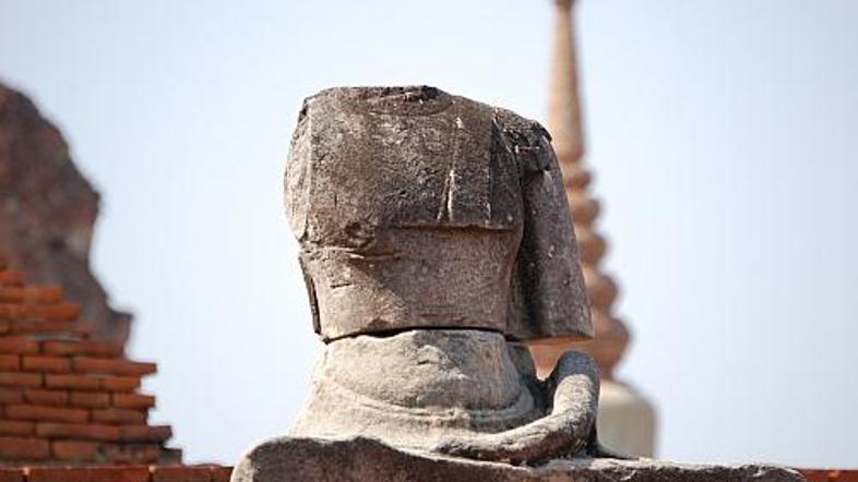 Kipe Bude so že zdavnaj vzeli na piko plenilci, zato jih je večina ostala brez g