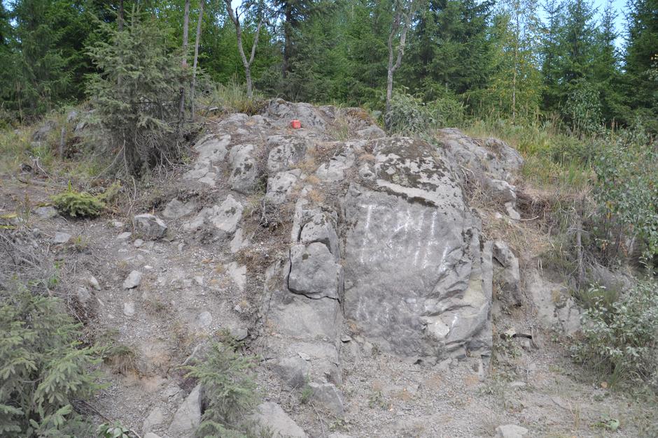 WRC reli Finska | Avtor: Gregor Prebil