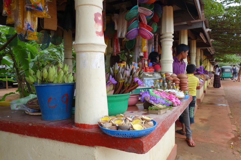 Šrilanka | Avtor: Maja Bitenc