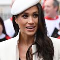 meghan markle, princ harry, princ William