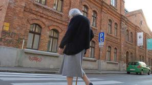 Skupna vrednost perutnine, ki jo je želela ukrasti ženska, je 8,84 evra. (Foto: 