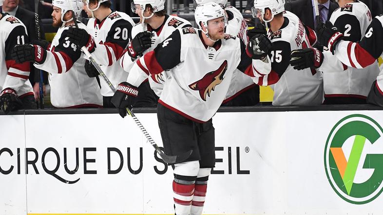 arizona coyotes