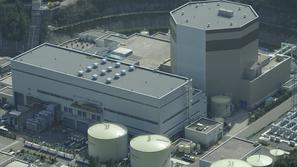 Jedrska elektrarna v Curugi. (Foto: Reuters)