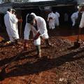 Čiščenje strupene snovi je v polnem teku. (Foto: Reuters)