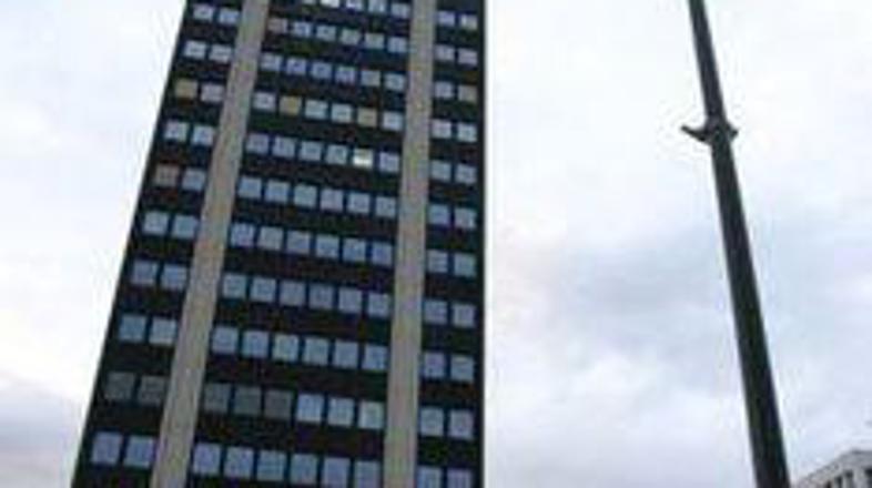 Delo stolpnica, stavba