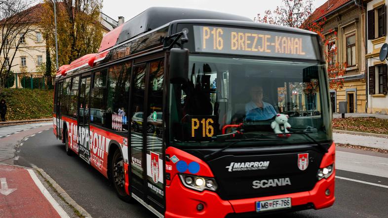 Marprom avtobus