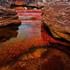 Cano Cristales