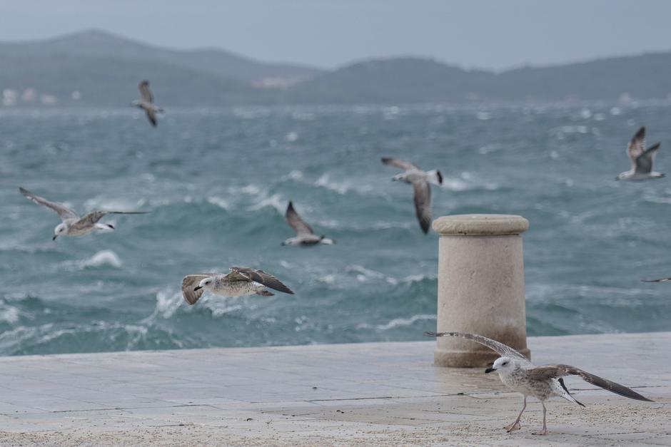 veter Zadar | Avtor: Profimedia