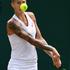 polona hercog wimbledon 2017