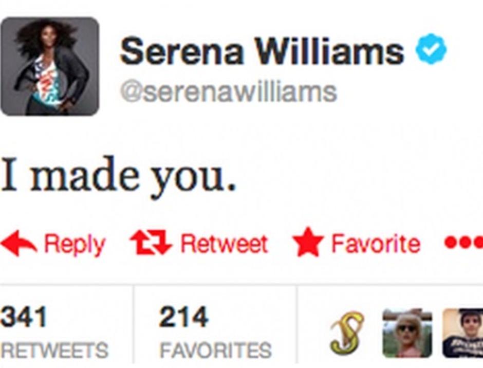 tweet serena williams | Avtor: Reševalni pas/Twitter