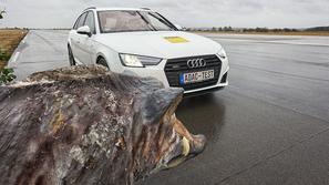 AMZS, ADAC trk avta z  divjo svinjo, trk z živaljo, divji prašič, divja svinja