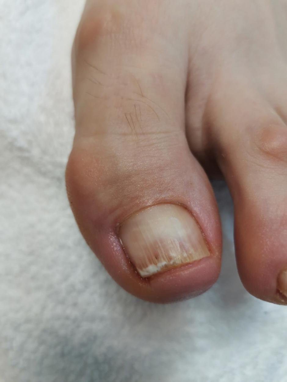 AN.NIKA | Avtor: AN.NIKA