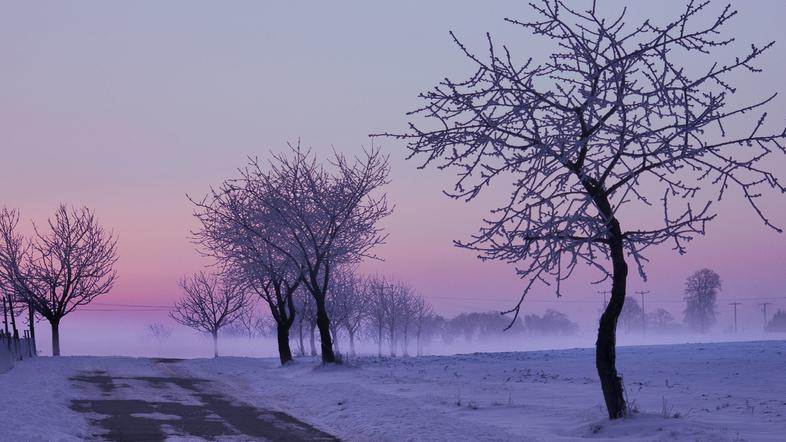 Zimsko jutro