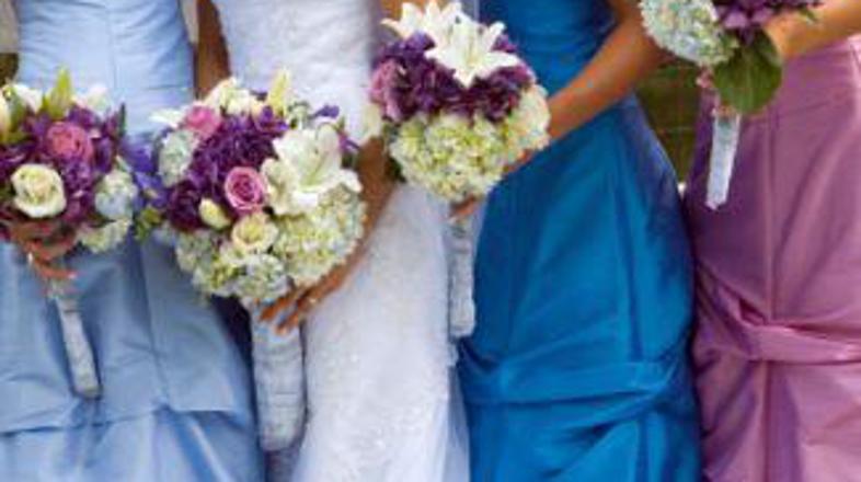 "Takšnega tiča še nisem imela priložnosti srečati."