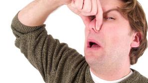 Bodo morali pač potrpeti ...