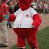 Gapper (Cincinnati Reds)