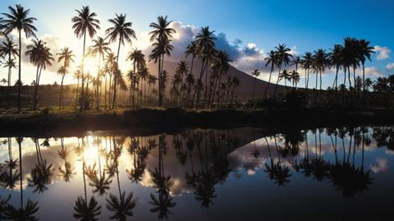 Preverite, kdaj je naslednji polet.