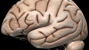 Za bolnike s Parkinsonovo boleznijo je prišlo novo upanje.