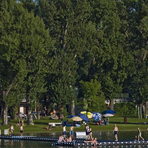Gänsehäufel  kopališče donava